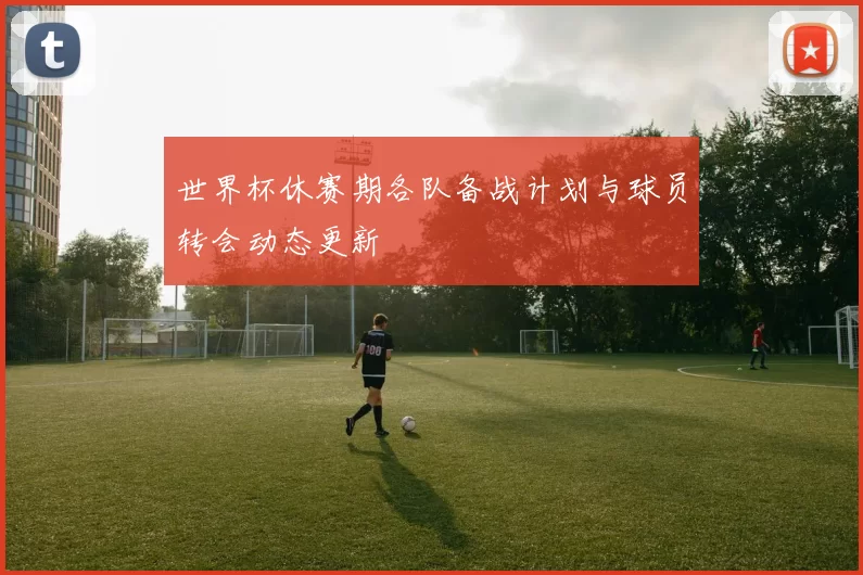 世界杯休赛期各队备战计划与球员转会动态更新