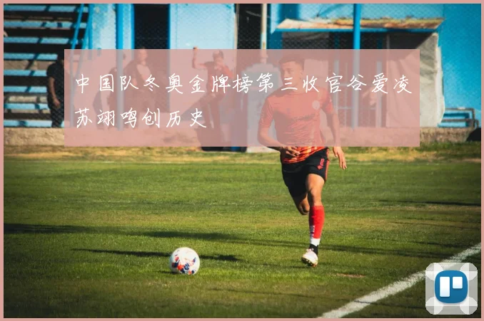 中国队冬奥金牌榜第三收官谷爱凌苏翊鸣创历史