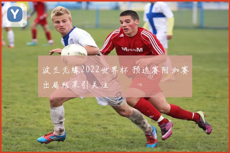 波兰无缘2022世界杯 预选赛附加赛出局结果引关注