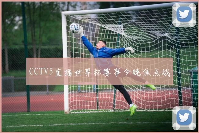 CCTV5直播世界杯赛事今晚焦点战
