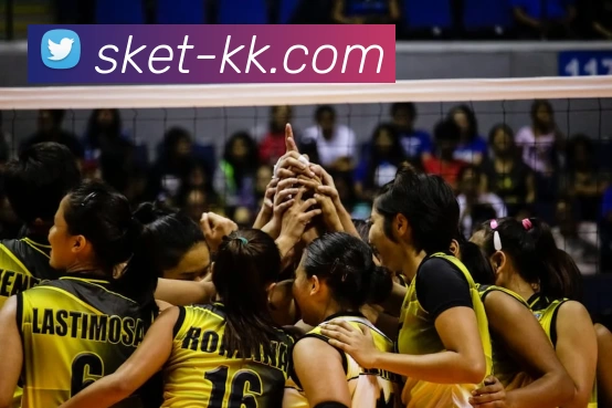 letou最新官网APP 封面图